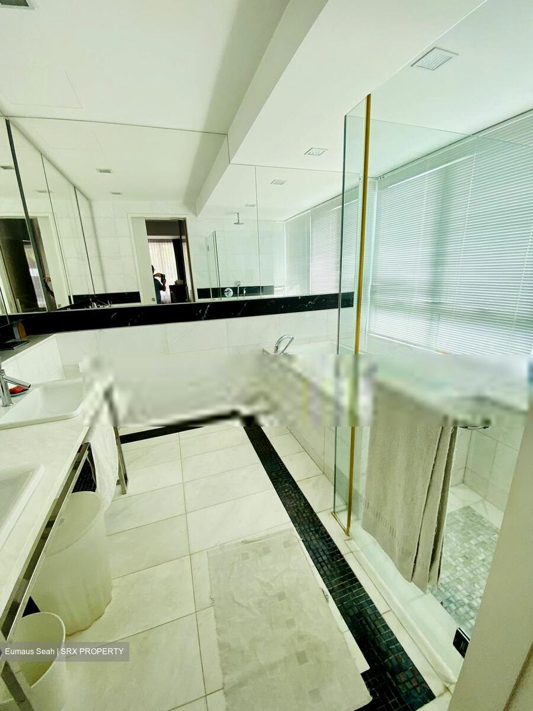 The Orange Grove (D10), Condominium #399256211